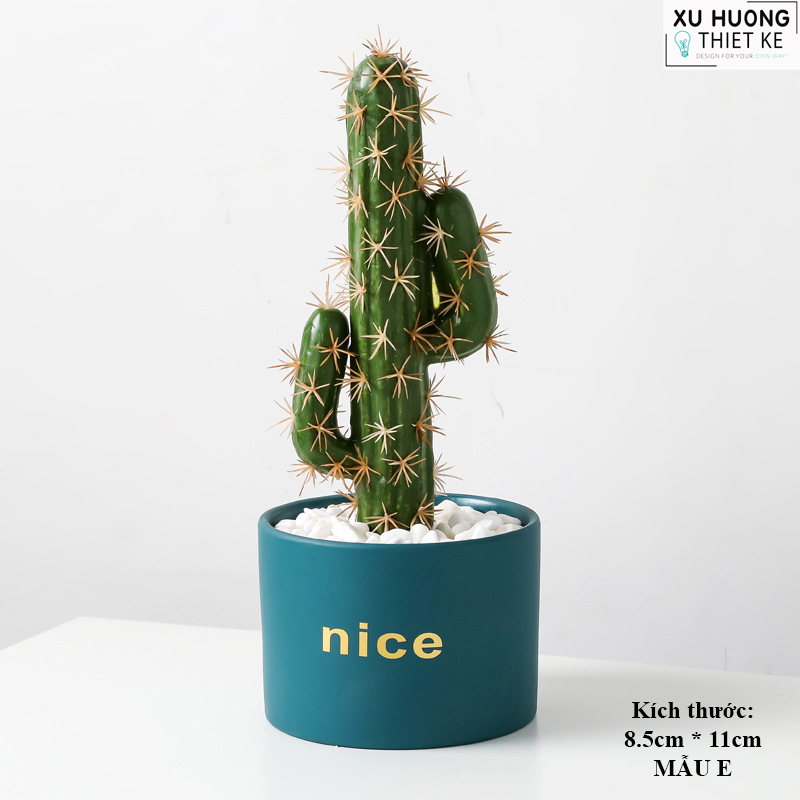 Chậu cây mini classic để bàn