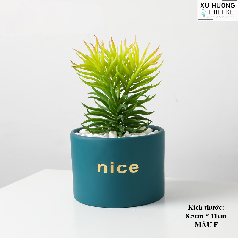 Chậu cây mini classic để bàn