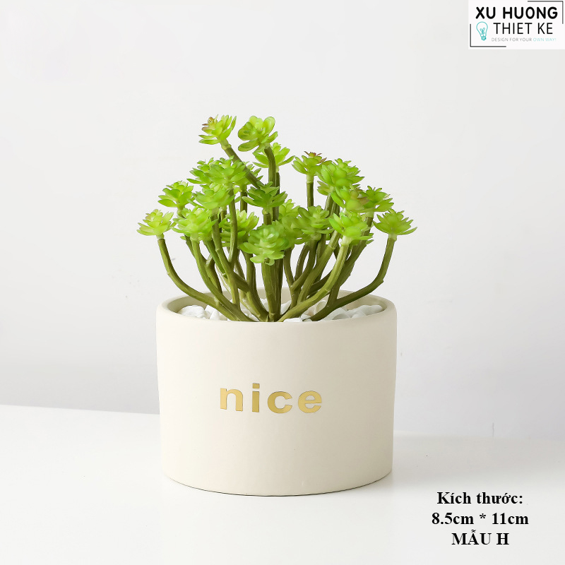 Chậu cây mini classic để bàn
