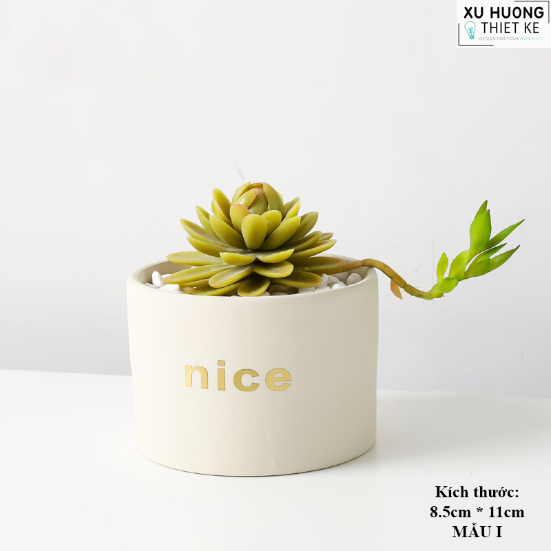 Chậu cây mini classic để bàn