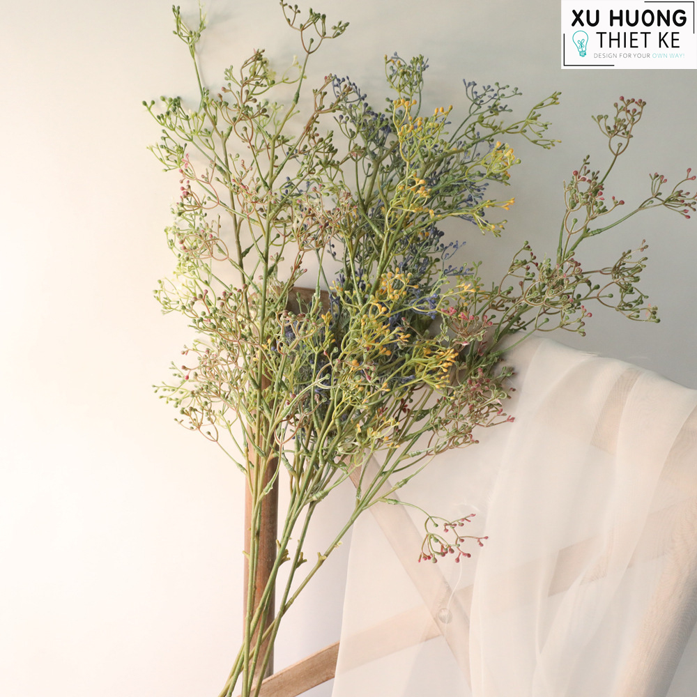 Hoa giả chêm, hoa baby