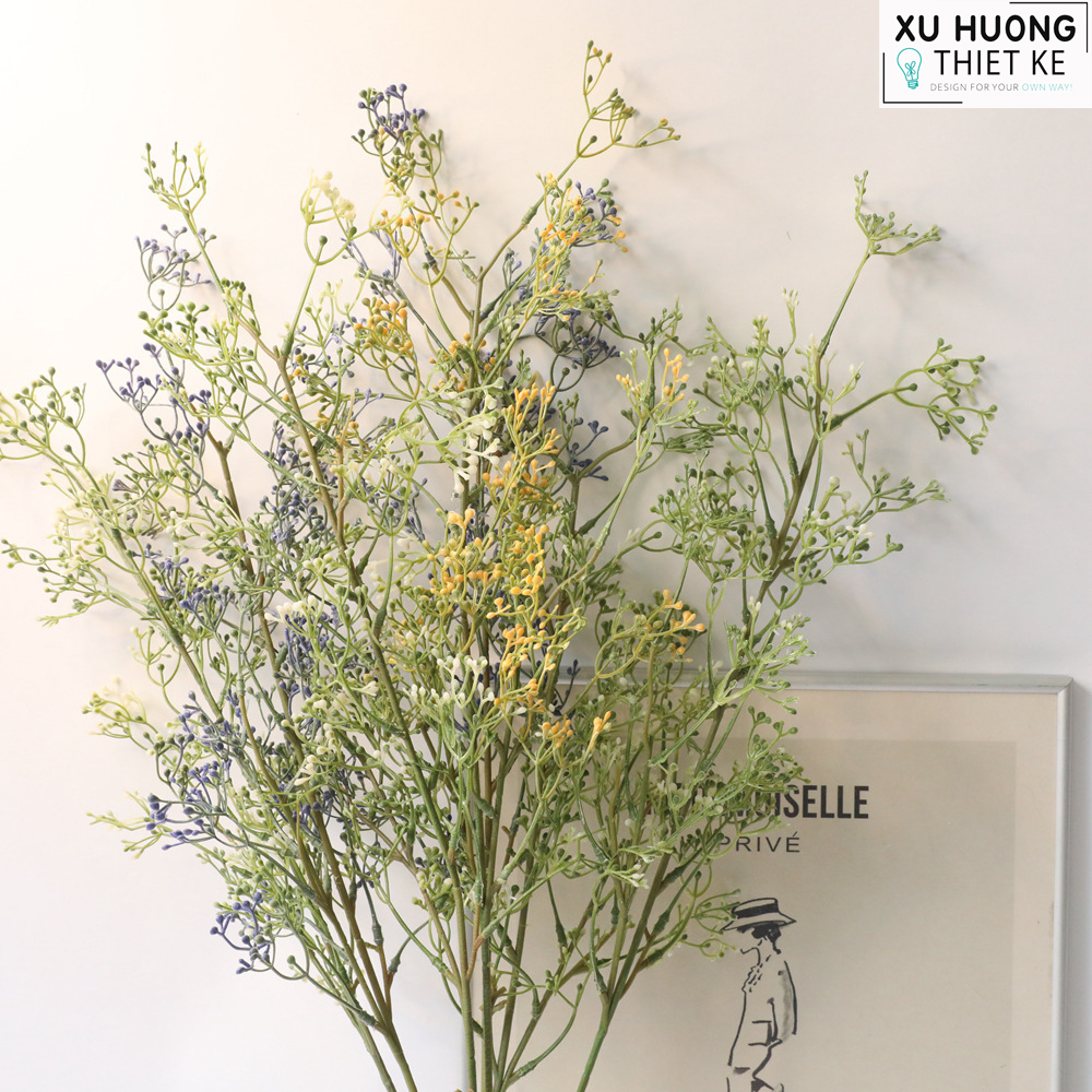 Hoa giả chêm, hoa baby