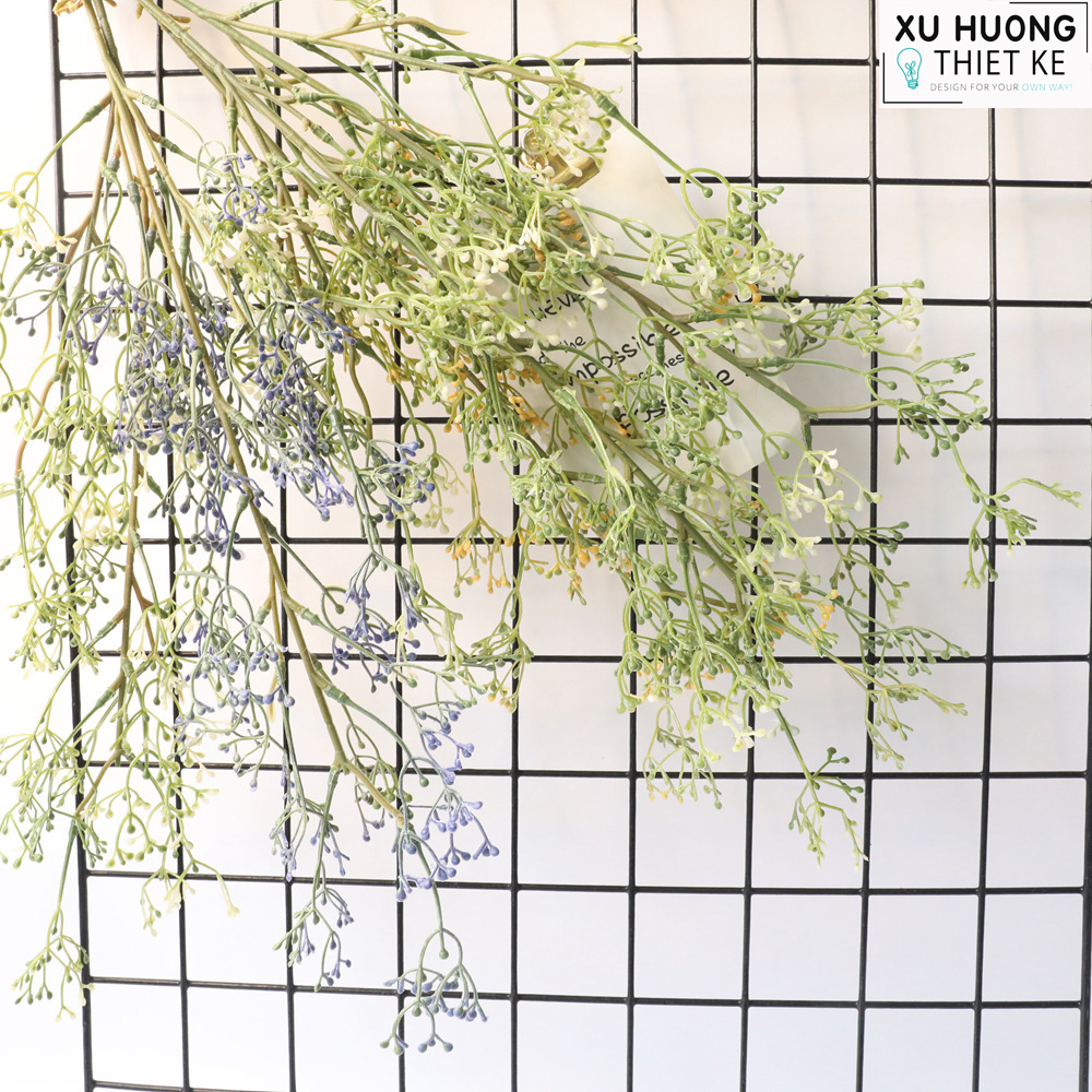 Hoa giả chêm, hoa baby