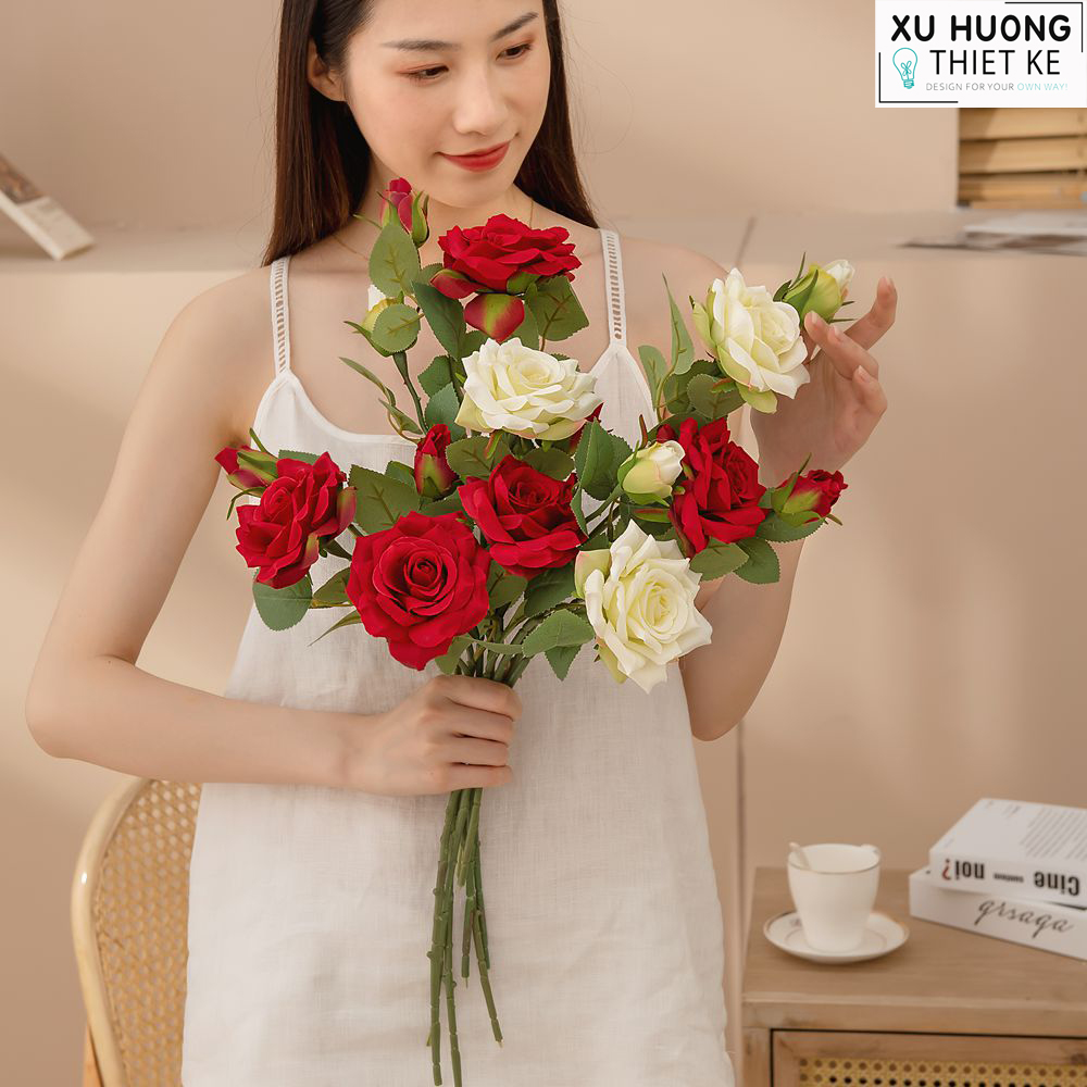 Hoa hồng lai Peace | Hoa giả trang trí