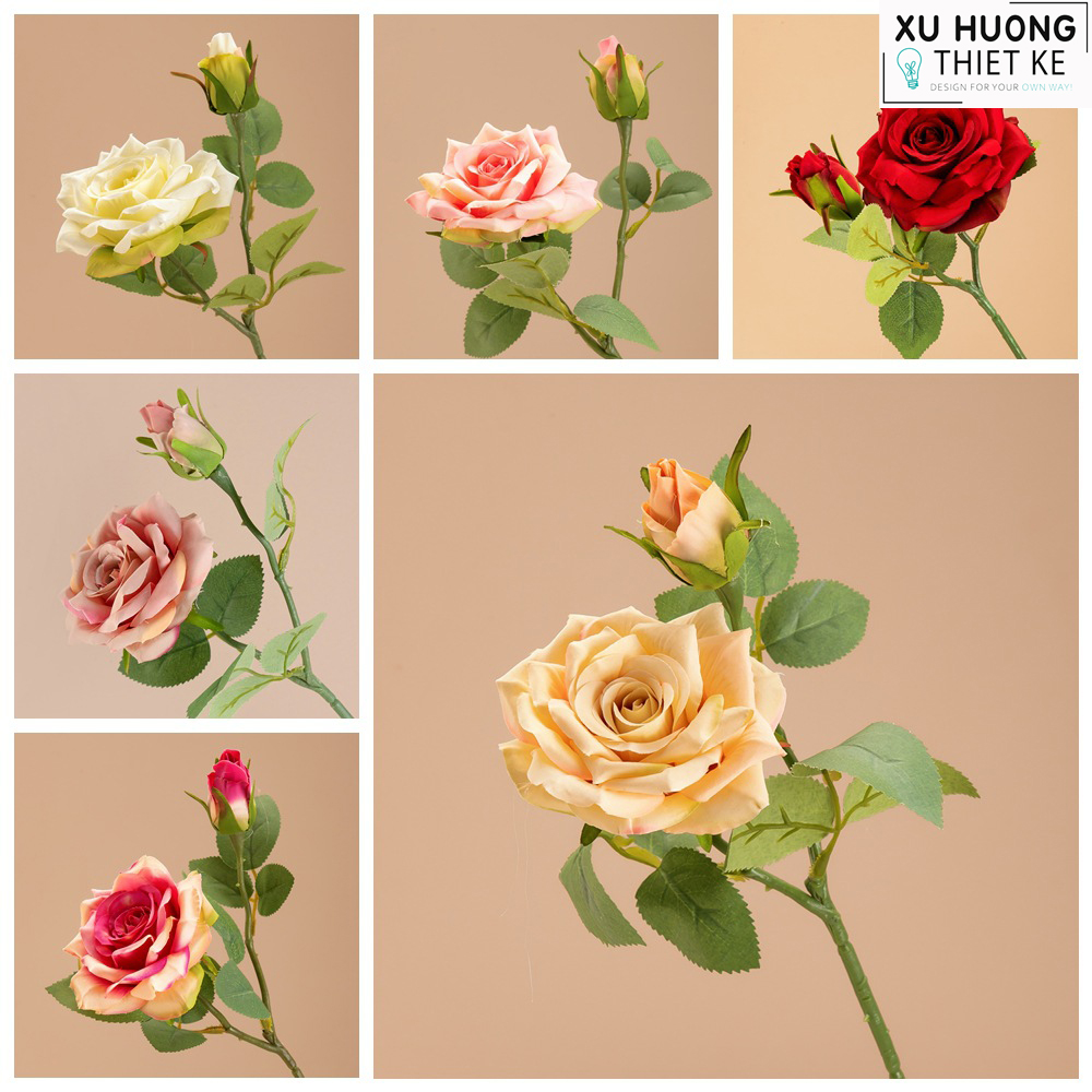 Hoa hồng lai Peace | Hoa giả trang trí