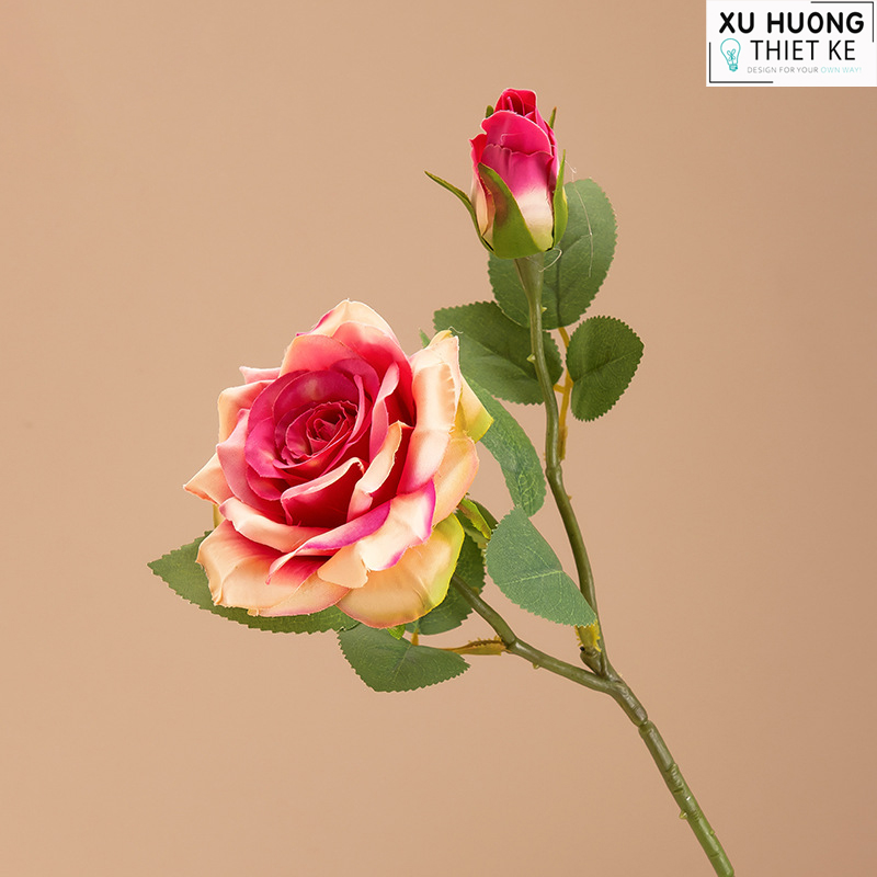 Hoa hồng lai Peace | Hoa giả trang trí