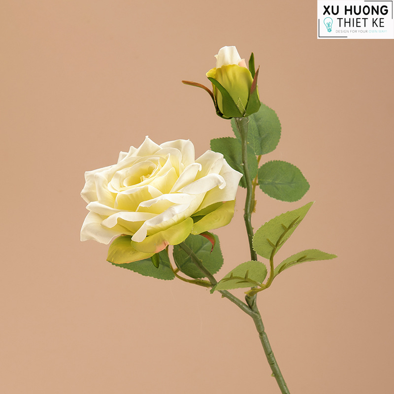 Hoa hồng lai Peace | Hoa giả trang trí