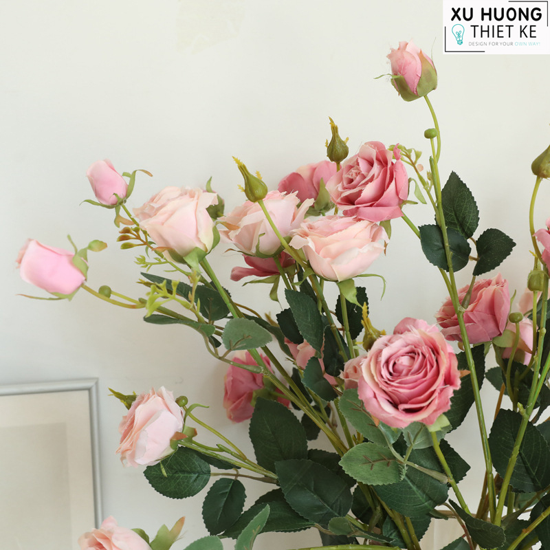 Hoa hồng leo giả