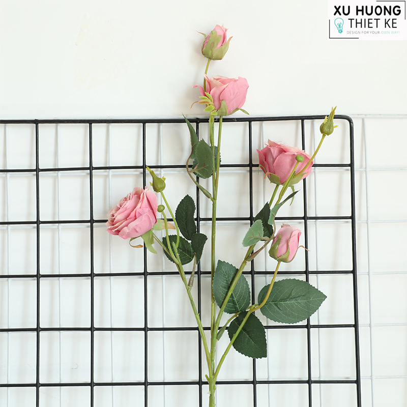 Hoa hồng leo giả