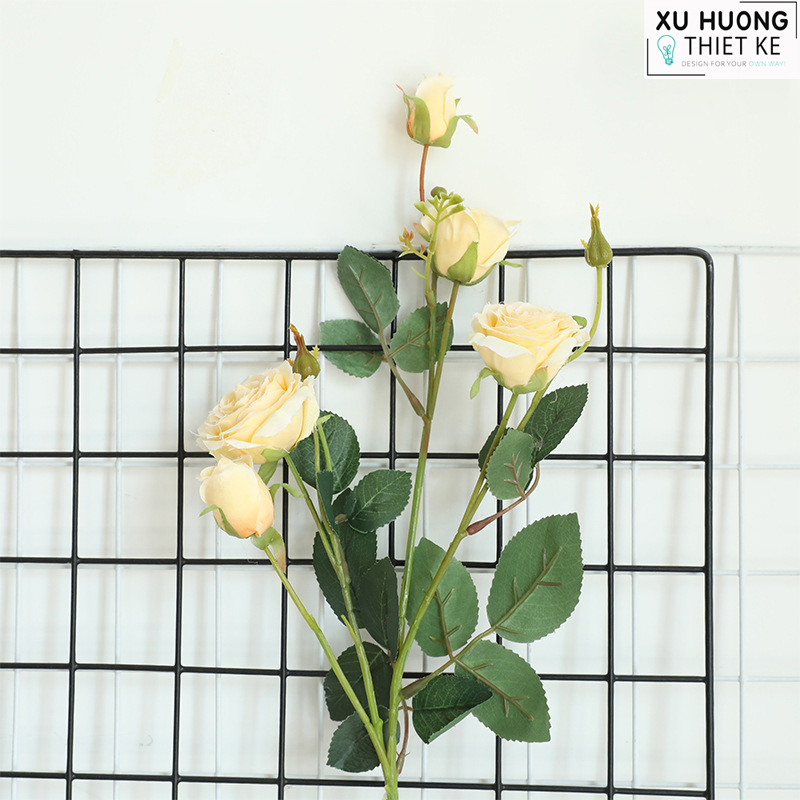 Hoa hồng leo giả