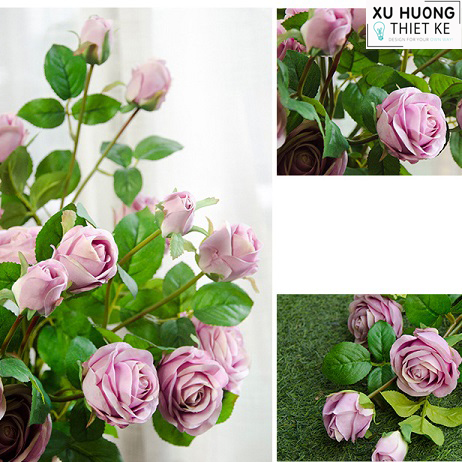 Hoa hồng rừng giả