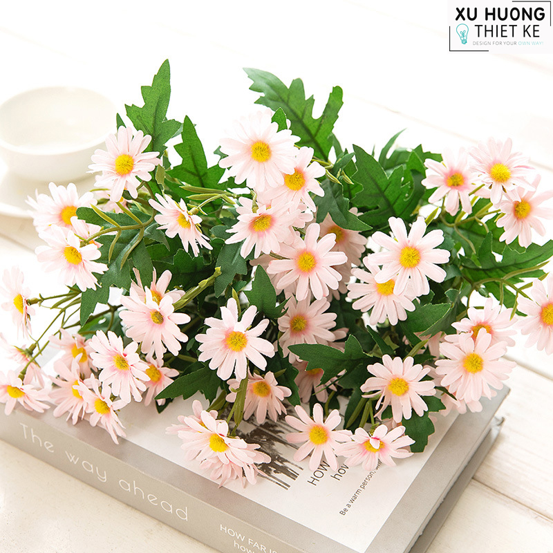 Hoa cúc họa mi (bụi)