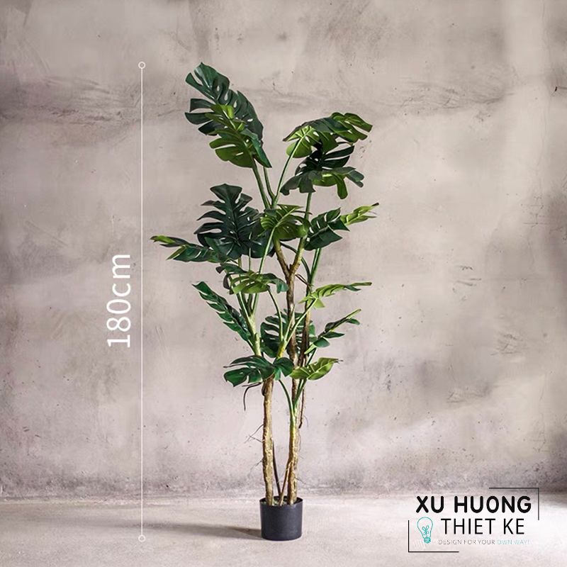 Cây Monstera nhiệt đới giả