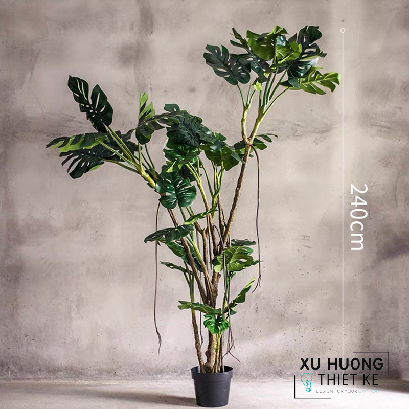 Cây Monstera nhiệt đới giả