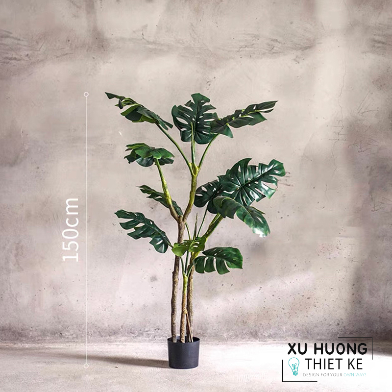 Cây Monstera nhiệt đới giả