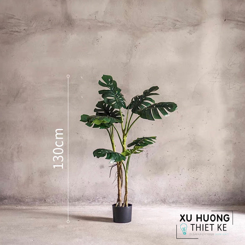 Cây Monstera nhiệt đới giả