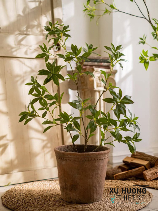 Cây nhựa trang trí trong nhà