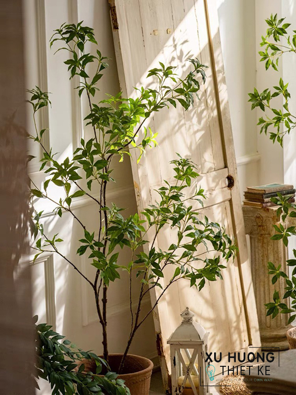 Cây nhựa trang trí trong nhà