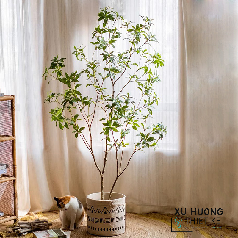 Cây nhựa trang trí trong nhà