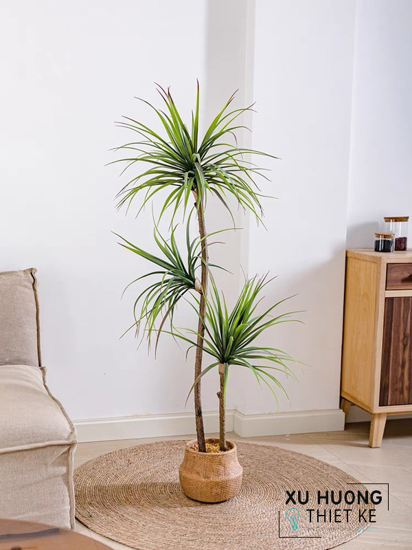 Cây Phất Dụ mảnh giả