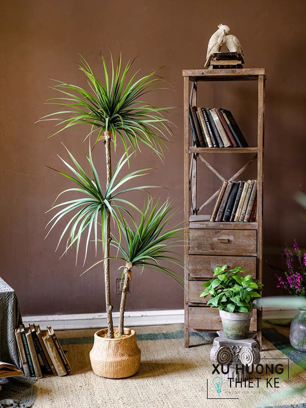 Cây Phất Dụ mảnh giả