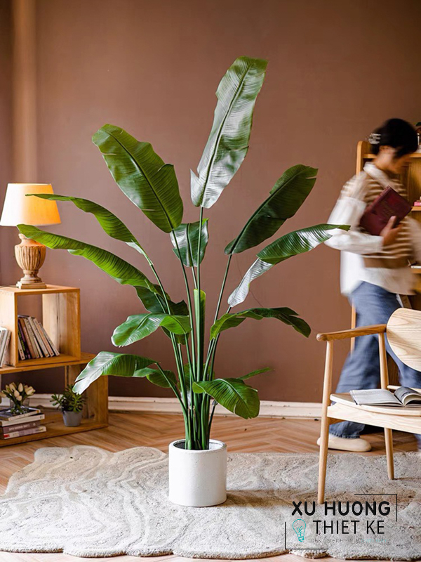 Cây chuối rẽ quạt giả trang trí