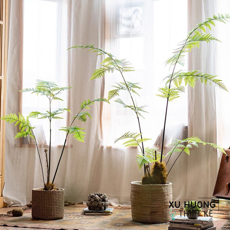 Cây Dương Xỉ cổ đại cảnh